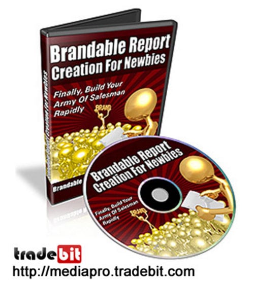 Product picture Brandable Report Creation for Newbies (MRR)