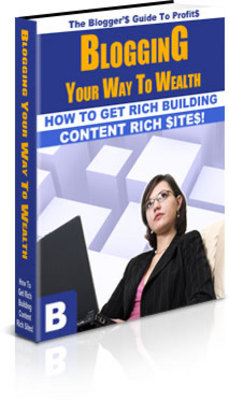 Product picture Blogging Your Way To Wealth (PLR)