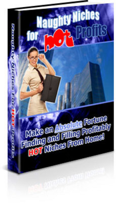 Product picture Naughty Niches for Hot Profits (PLR)