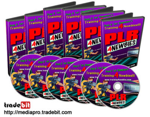 Product picture PLR for Newbies Videos (MRR)